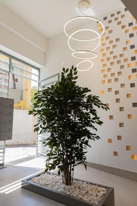 Superb Central Lisbon Apartment ภายนอก รูปภาพ
